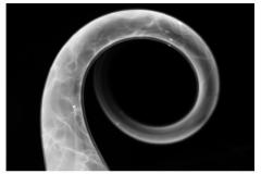 2011-radiografia-di-una-spirale-Massimo-Gerardo-Carrese